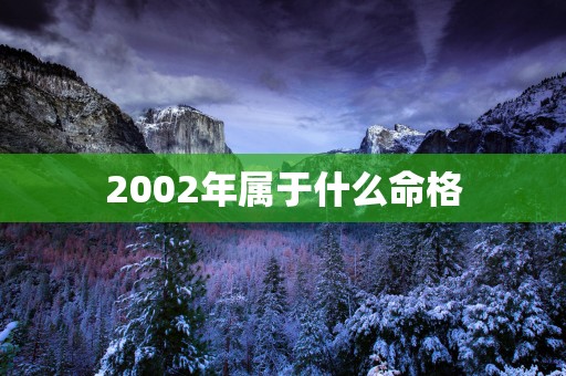 2002年属于什么命格