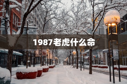 1987老虎什么命
