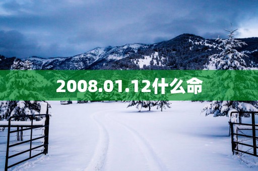 2008.01.12什么命