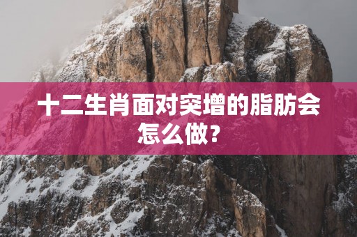 十二生肖面对突增的脂肪会怎么做？