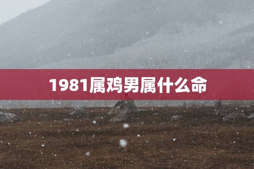 1981属鸡男属什么命
