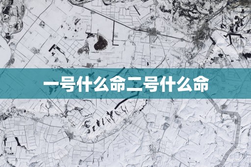 一号什么命二号什么命