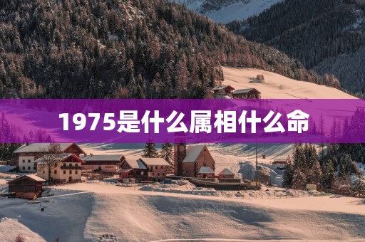 1975是什么属相什么命