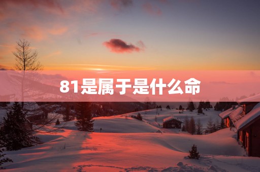 81是属于是什么命
