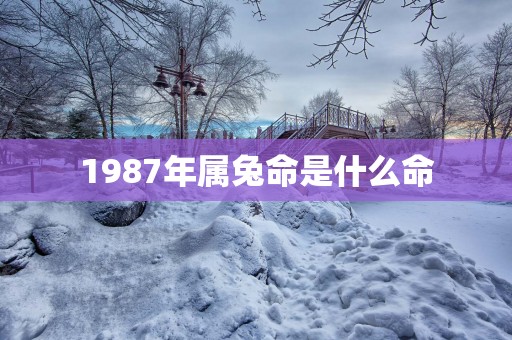1987年属兔命是什么命