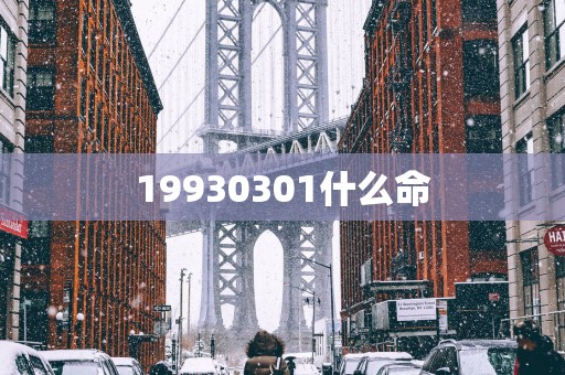 19930301什么命
