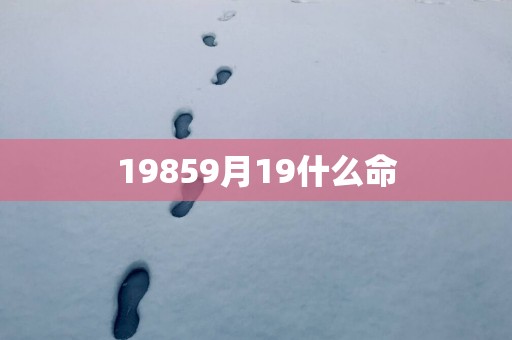 19859月19什么命
