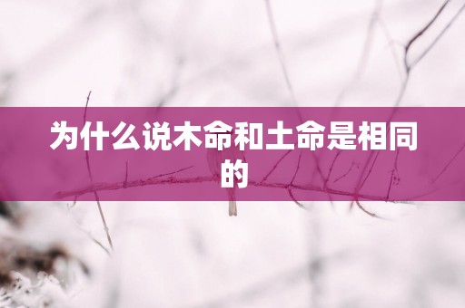 为什么说木命和土命是相同的