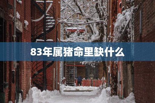 83年属猪命里缺什么