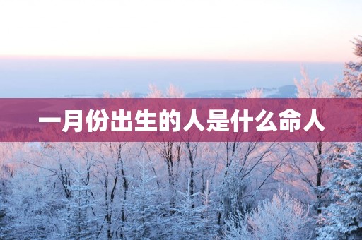 一月份出生的人是什么命人