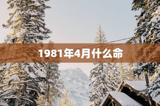 1981年4月什么命