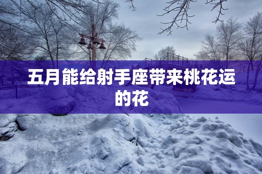 五月能给射手座带来桃花运的花