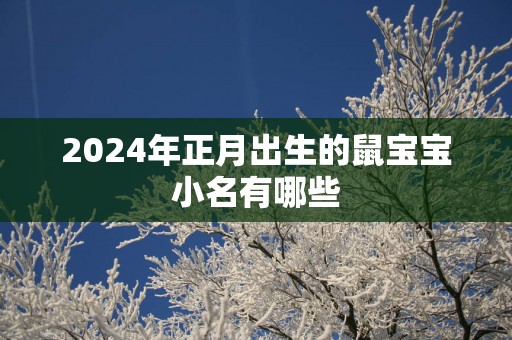 2025年正月出生的鼠宝宝小名有哪些