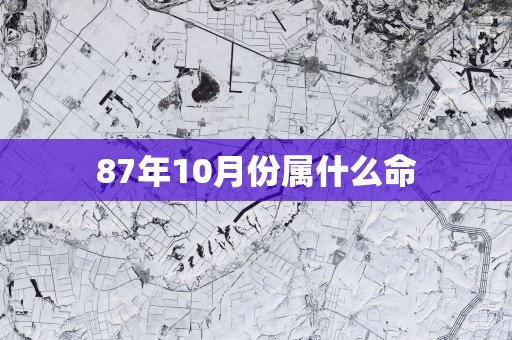 87年10月份属什么命