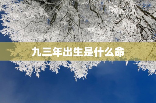 九三年出生是什么命