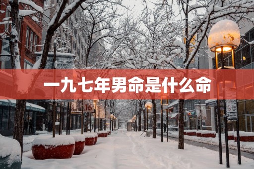 一九七年男命是什么命