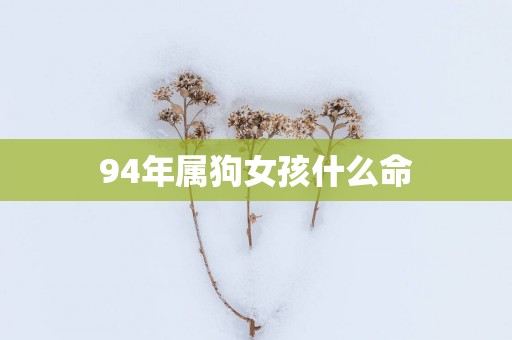 94年属狗女孩什么命
