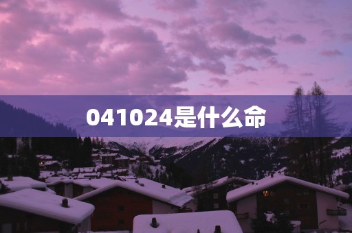 041024是什么命