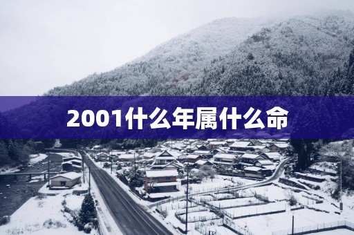 2001什么年属什么命