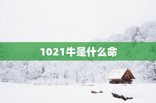 1021牛是什么命