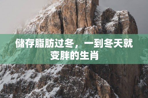 储存脂肪过冬，一到冬天就变胖的生肖