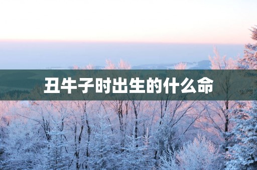 丑牛子时出生的什么命