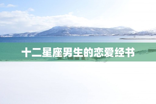 十二星座男生的恋爱经书