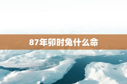 87年卯时兔什么命