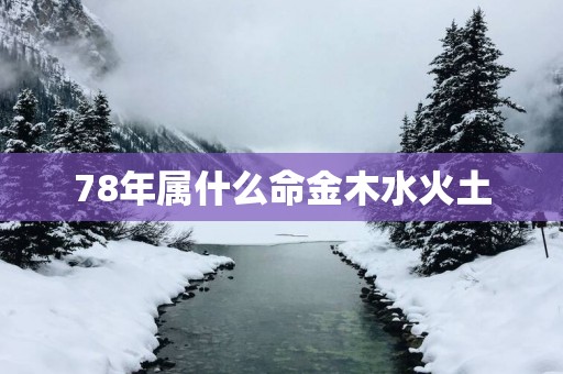78年属什么命金木水火土