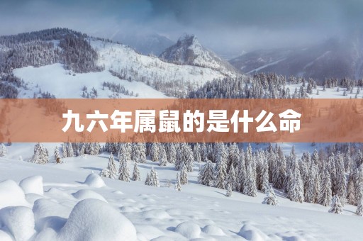 九六年属鼠的是什么命