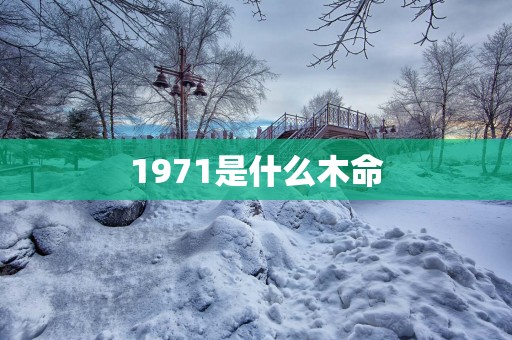 1971是什么木命