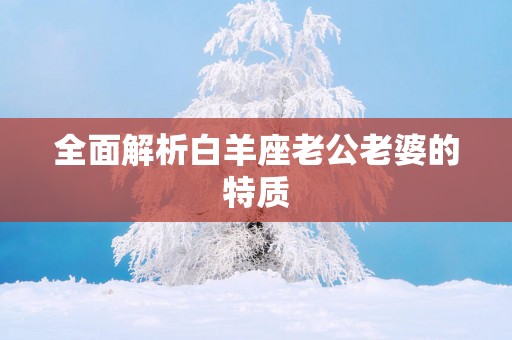 全面解析白羊座老公老婆的特质