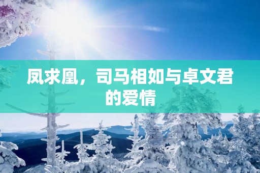 凤求凰，司马相如与卓文君的爱情