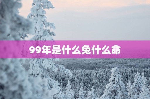 99年是什么兔什么命