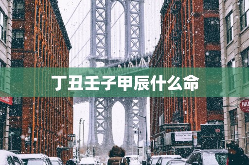 丁丑壬子甲辰什么命