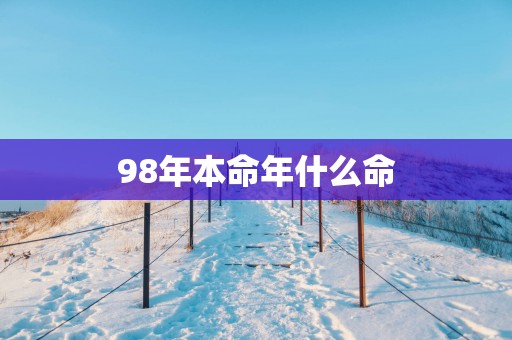 98年本命年什么命
