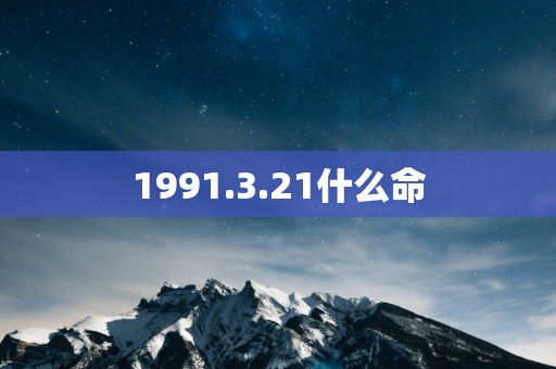 1991.3.21什么命
