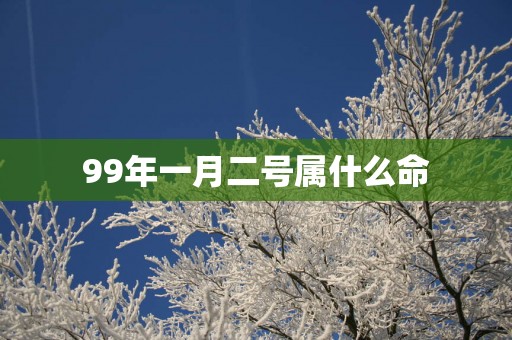 99年一月二号属什么命