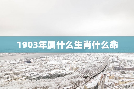 1903年属什么生肖什么命