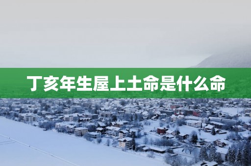丁亥年生屋上土命是什么命
