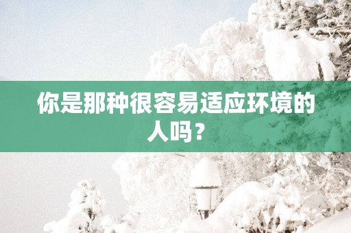 你是那种很容易适应环境的人吗？