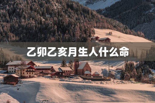 乙卯乙亥月生人什么命