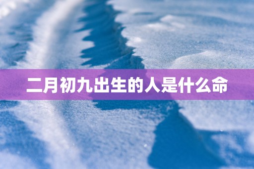 二月初九出生的人是什么命