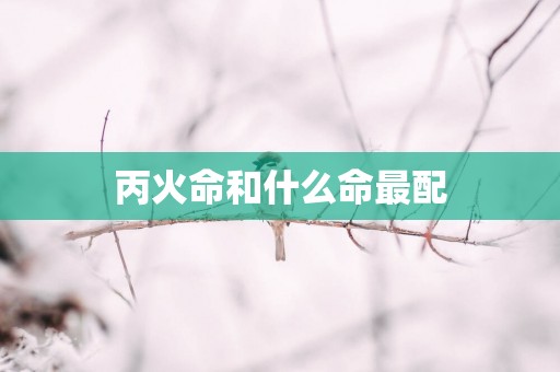 丙火命和什么命最配