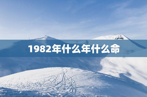 1982年什么年什么命