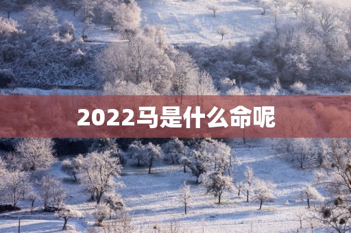 2025马是什么命呢