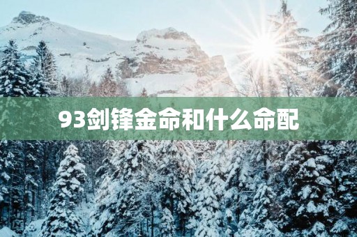93剑锋金命和什么命配