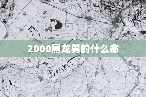 2000属龙男的什么命