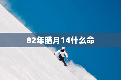 82年腊月14什么命