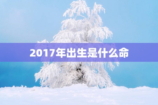 2017年出生是什么命